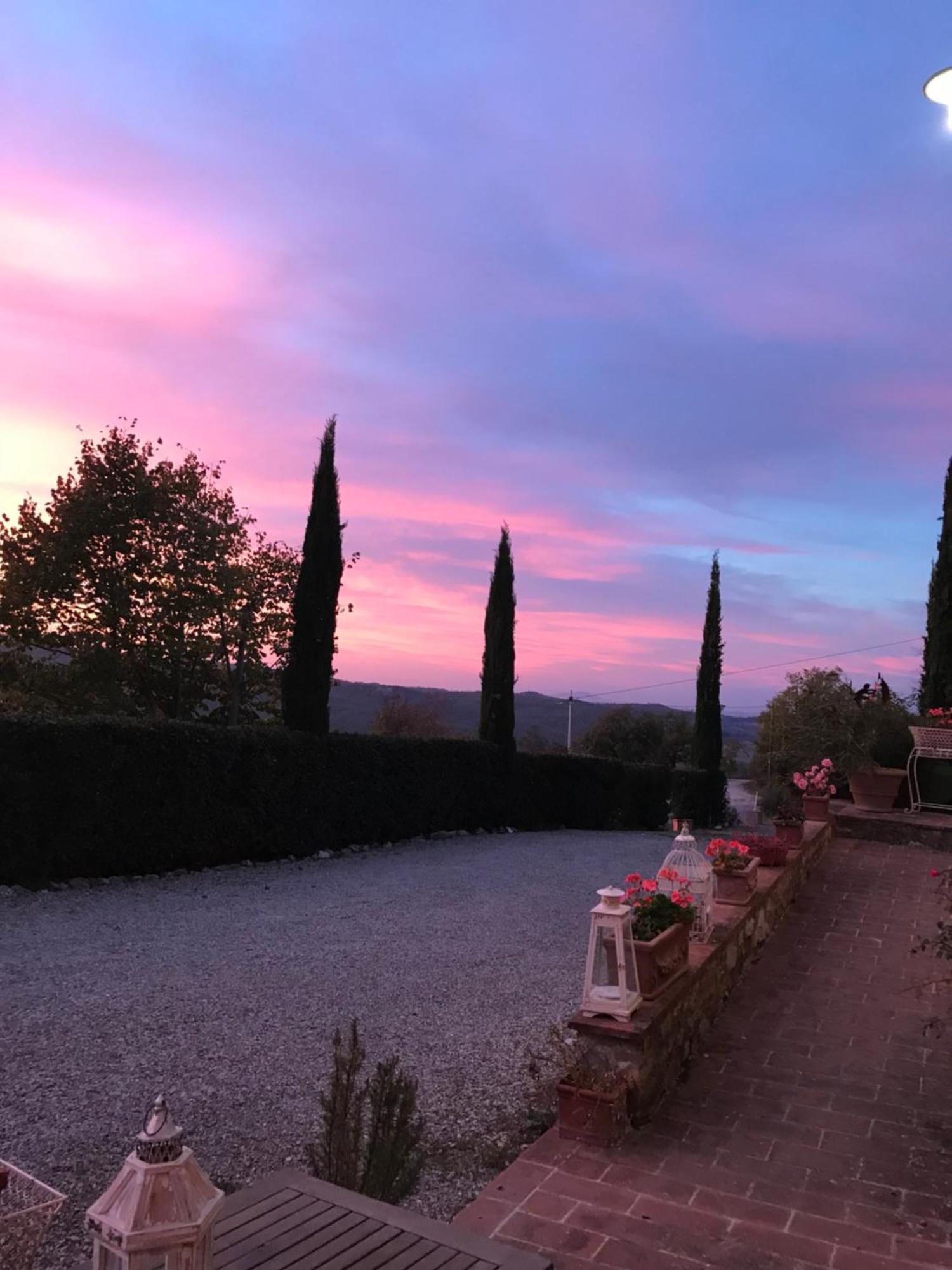 Residenzia Del Sogno Bed & Breakfast Castellina in Chianti Eksteriør bilde